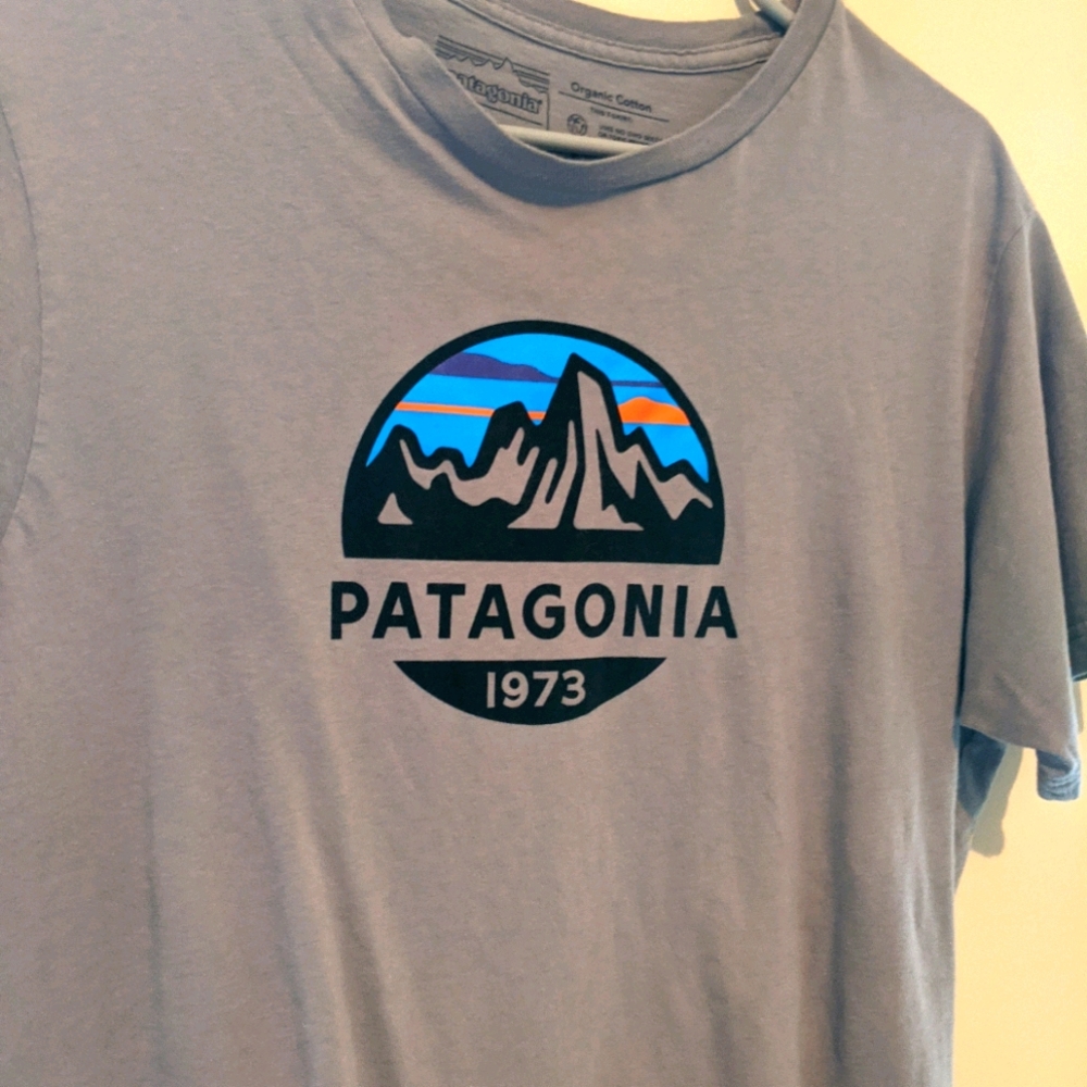 Patagonia SS Graphic Tee